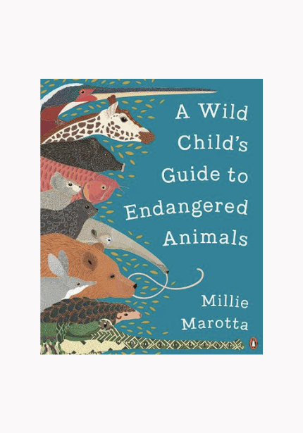  A Wild Child's Guide to Endangered Animals