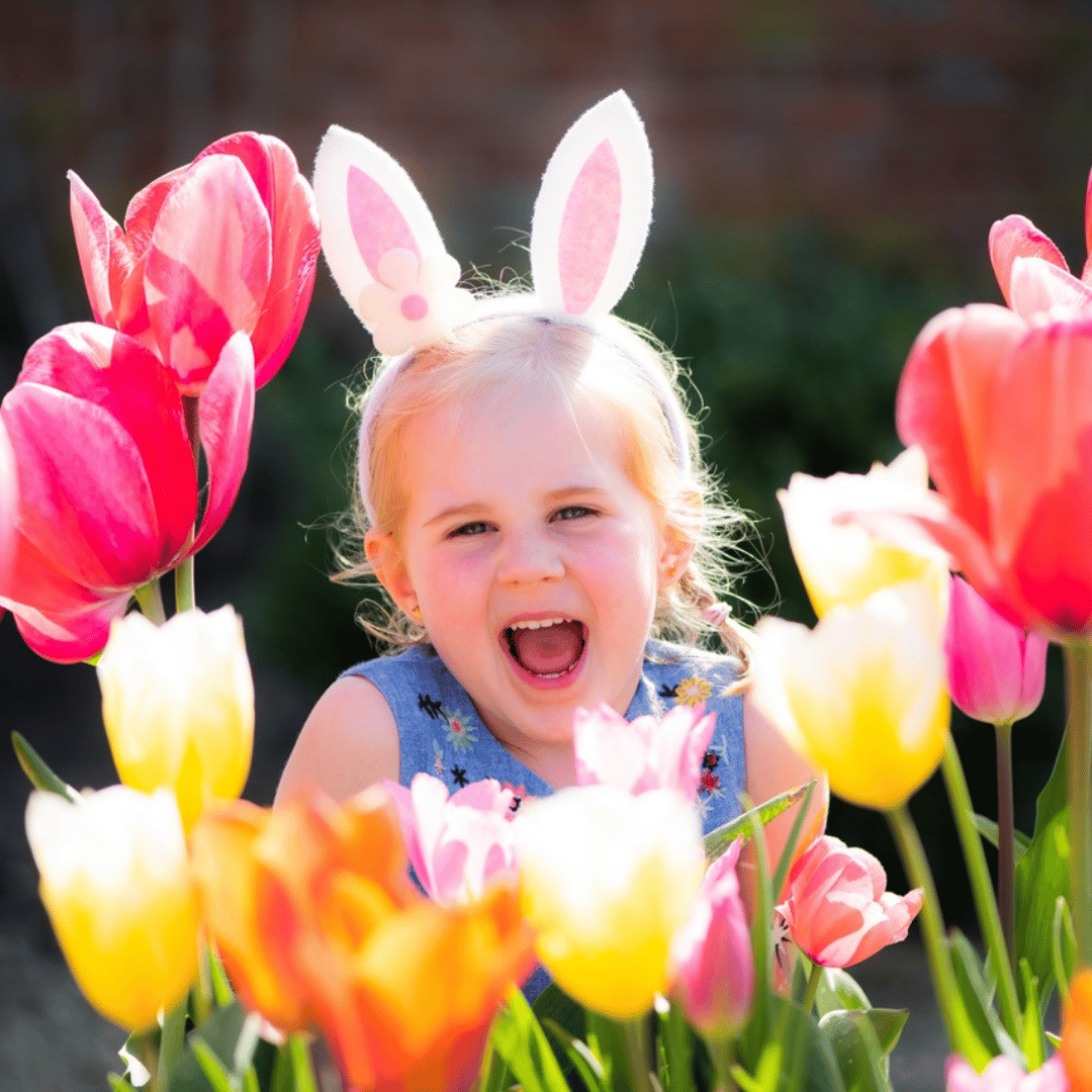 Easter Family Fun – Holkham Hall, Norfolk