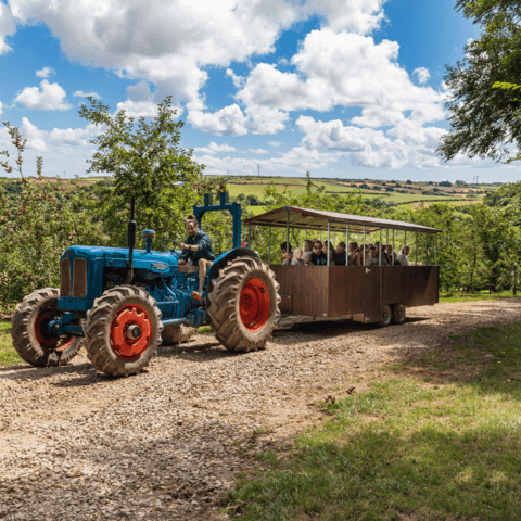 Best Family Day Out: Healeys Cyder Farm