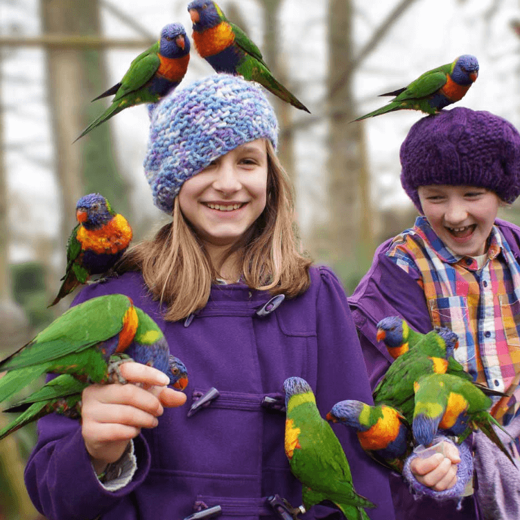 Best Family Day Out: Longleat