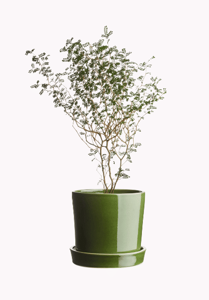 Large Stoneware Pot