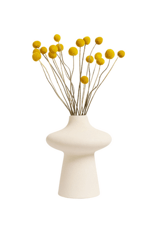 Craspedia flowers