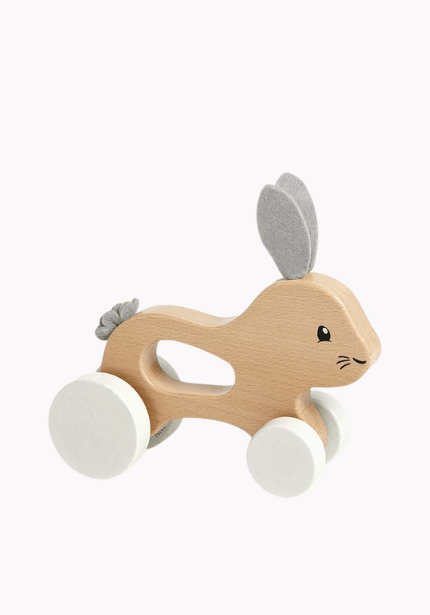 My First Push Along Rabbit Toy