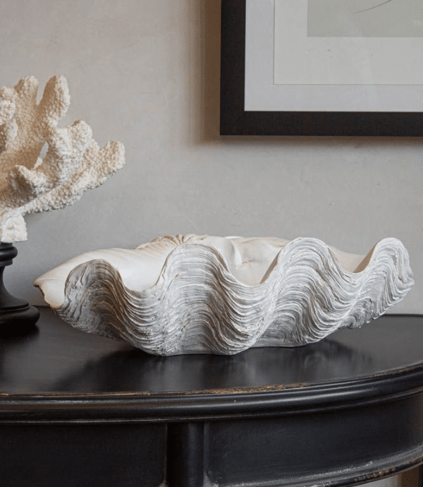 Large White Clam Shell Display Dish