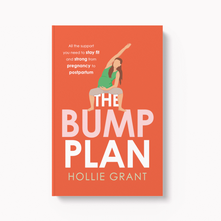 The Bump Plan by Hollie Grant