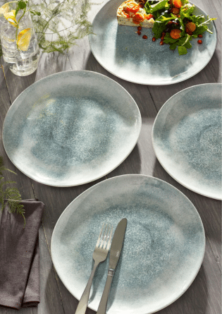 4 Picnic Dinner Plates