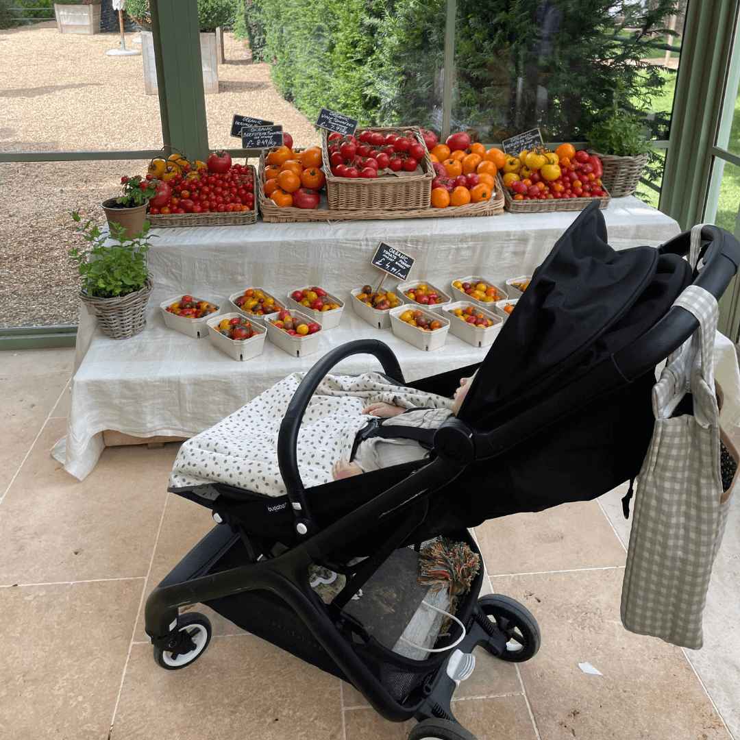Reviewed By Us: Bugaboo Butterfly