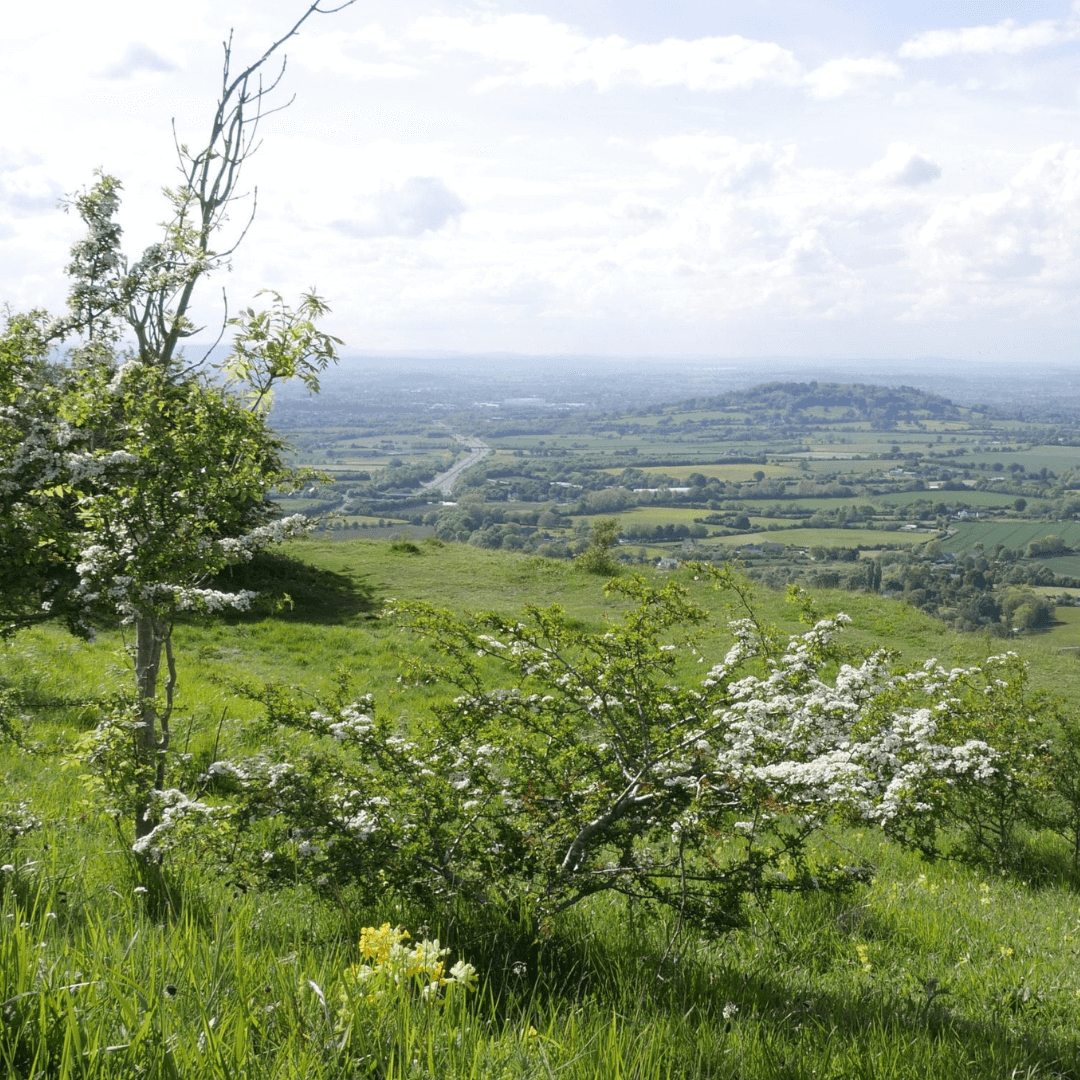Best free attraction: Crickley Hill