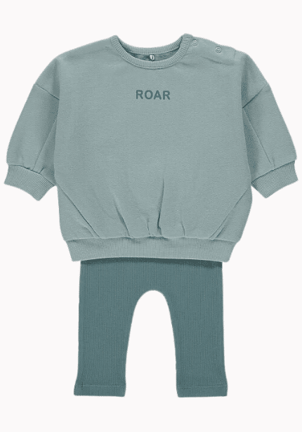 Roar Sweatshirt and Leggings