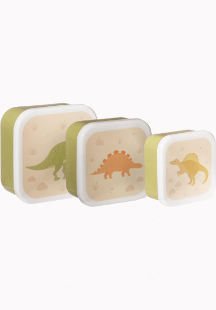 Sass & Belle Desert Dino Lunch Boxes