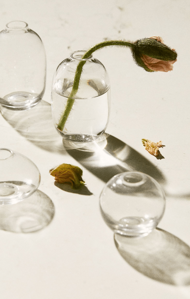 Clear Mini Glass Vase