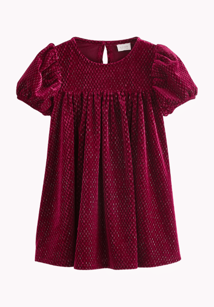 Velvet Party Dress