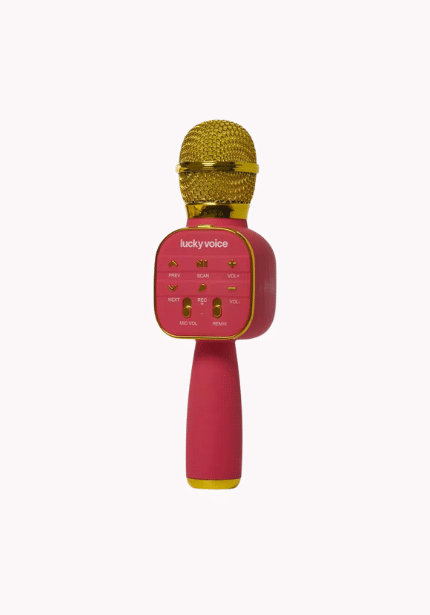 Karaoke Microphone